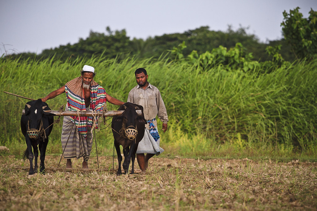 Bangladeshi People